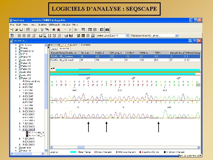 LOGICIELS D’ANALYSE : SEQSCAPE 