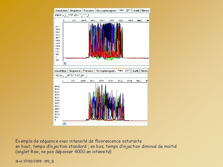 Exemple de séquence avec intensité de fluorescence saturante en haut, temps d’injection standard ;