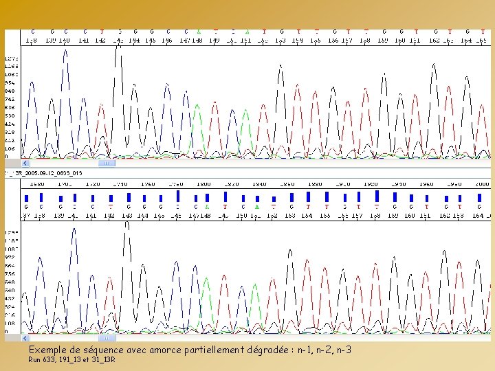 Exemple de séquence avec amorce partiellement dégradée : n-1, n-2, n-3 Run 633, 191_13