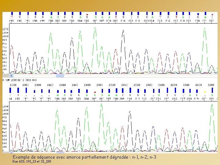 Exemple de séquence avec amorce partiellement dégradée : n-1, n-2, n-3 Run 633, 191_13