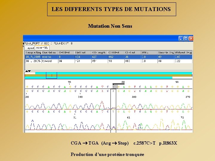LES DIFFERENTS TYPES DE MUTATIONS Mutation Non Sens CGA TGA (Arg Stop) c. 2587