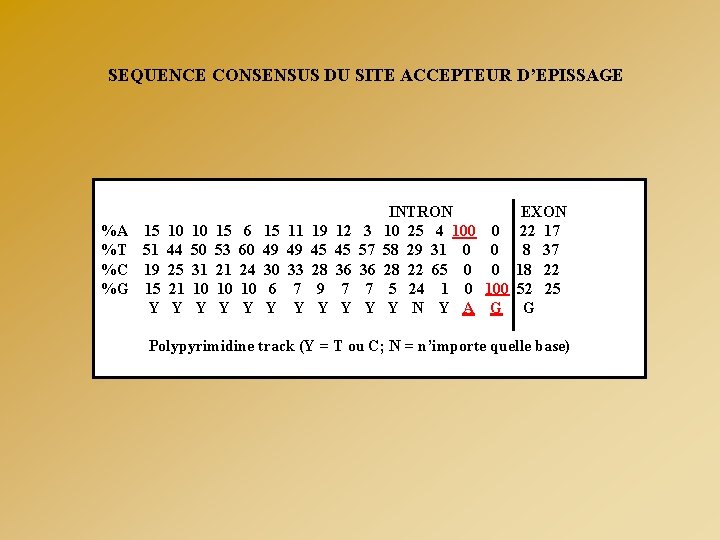 SEQUENCE CONSENSUS DU SITE ACCEPTEUR D’EPISSAGE %A 15 10 10 15 %T 51 44