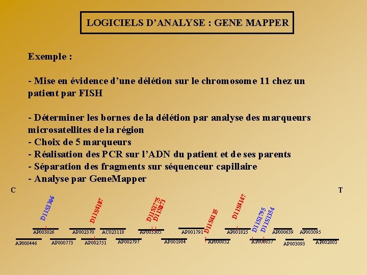 LOGICIELS D’ANALYSE : GENE MAPPER Exemple : - Mise en évidence d’une délétion sur