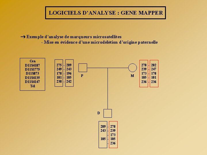 LOGICIELS D’ANALYSE : GENE MAPPER Exemple d’analyse de marqueurs microsatellites - Mise en évidence