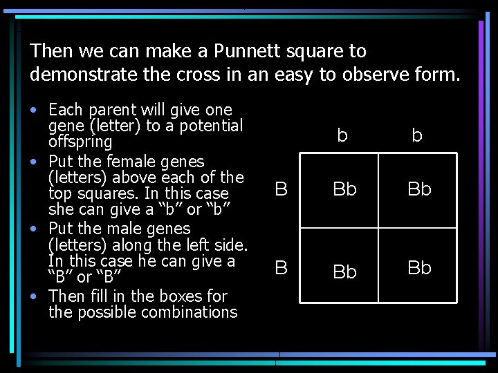 Then we can make a Punnett square to demonstrate the cross in an easy