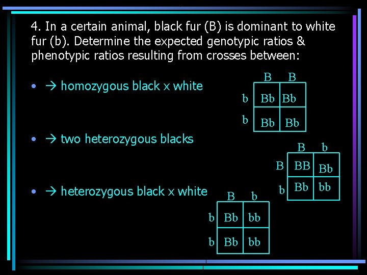 4. In a certain animal, black fur (B) is dominant to white fur (b).