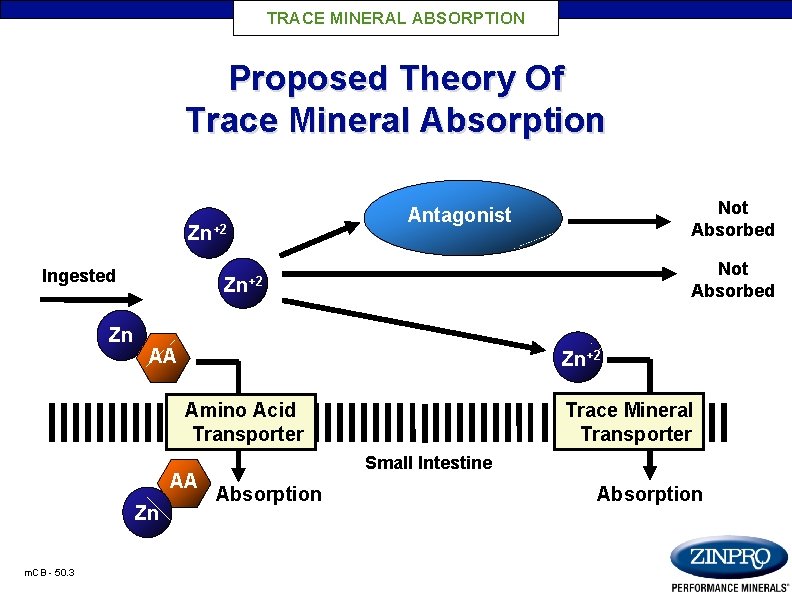 Why Feed Performance Trace Minerals To Poultry FEED
