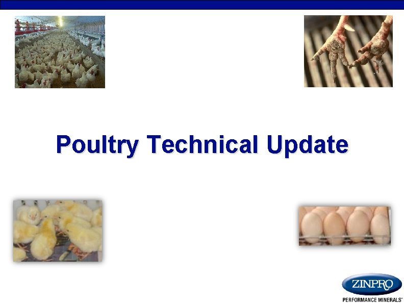 Poultry Technical Update 