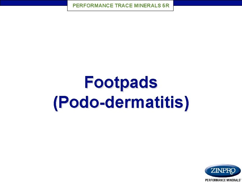 PERFORMANCE TRACE MINERALS 5 R Footpads (Podo-dermatitis) 