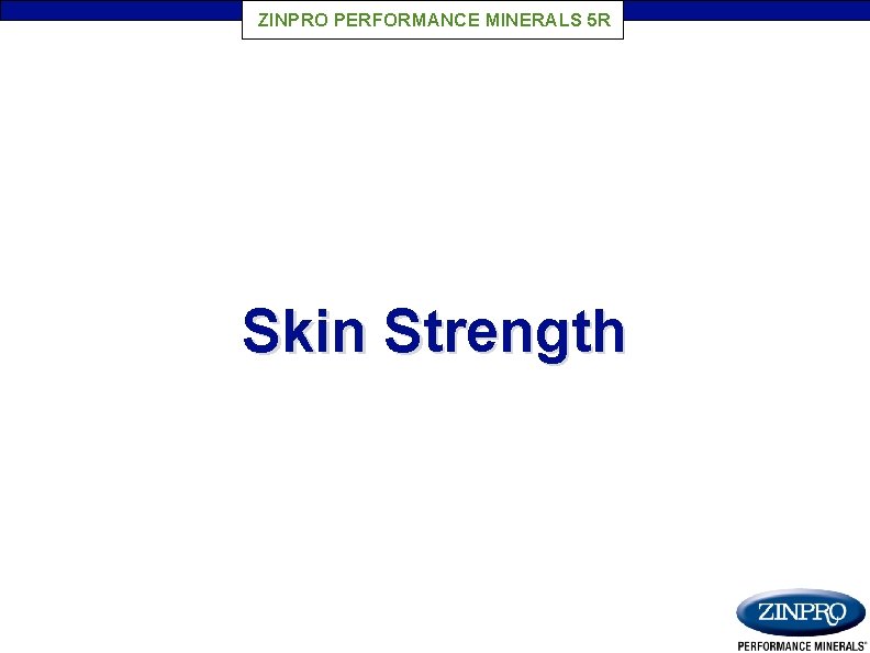 ZINPRO PERFORMANCE MINERALS 5 R Skin Strength 