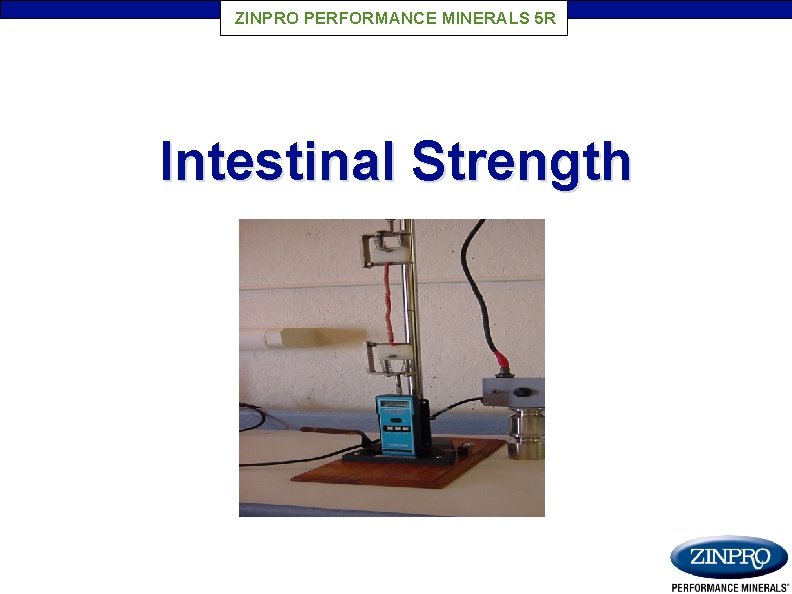 ZINPRO PERFORMANCE MINERALS 5 R Intestinal Strength 