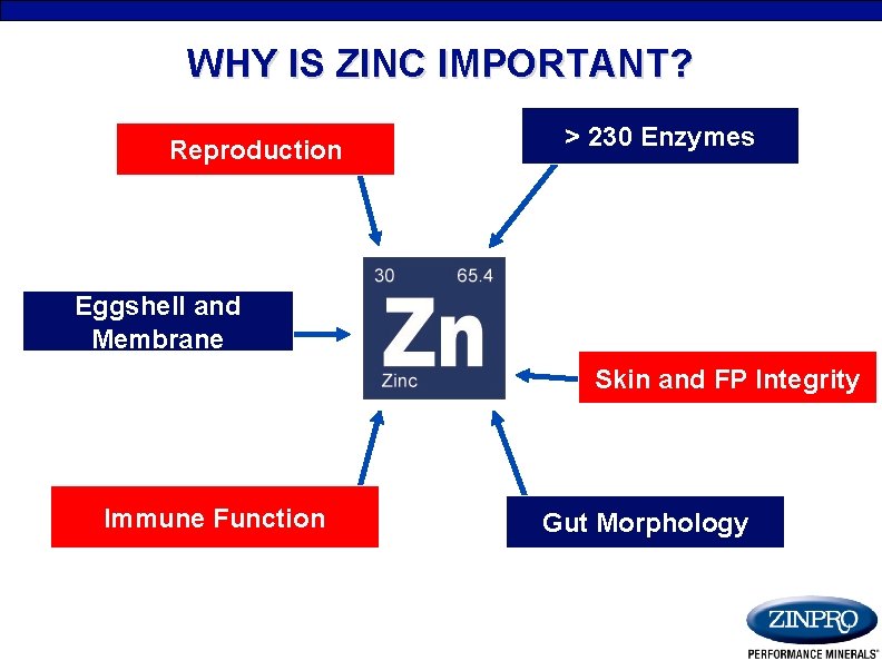 WHY IS ZINC IMPORTANT? Reproduction > 230 Enzymes Eggshell and Membrane Skin and FP