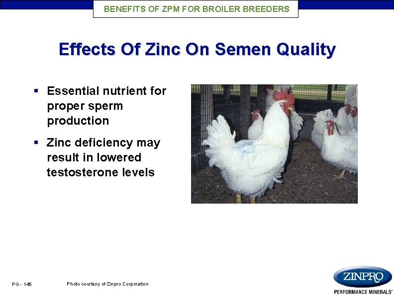 BENEFITS OF ZPM FOR BROILER BREEDERS Effects Of Zinc On Semen Quality § Essential