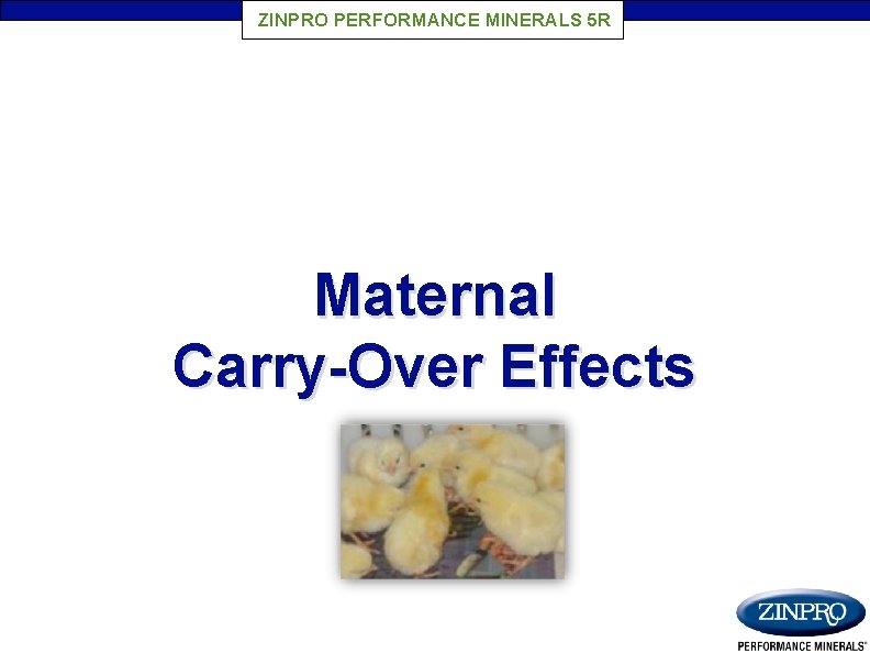 ZINPRO PERFORMANCE MINERALS 5 R Maternal Carry-Over Effects 