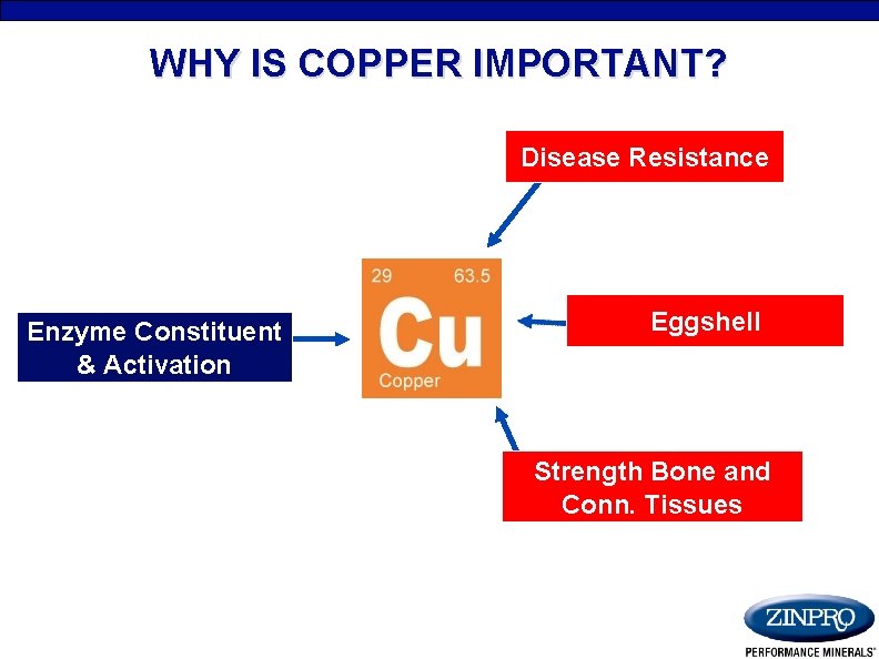 WHY IS COPPER IMPORTANT? Disease Resistance Enzyme Constituent & Activation Eggshell Strength Bone and