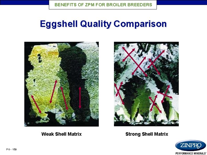 BENEFITS OF ZPM FOR BROILER BREEDERS Eggshell Quality Comparison Weak Shell Matrix PG -