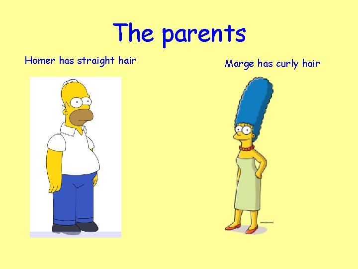 The parents Homer has straight hair Marge has curly hair 