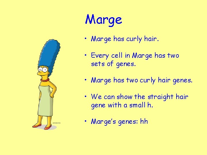 Marge • Marge has curly hair. • Every cell in Marge has two sets