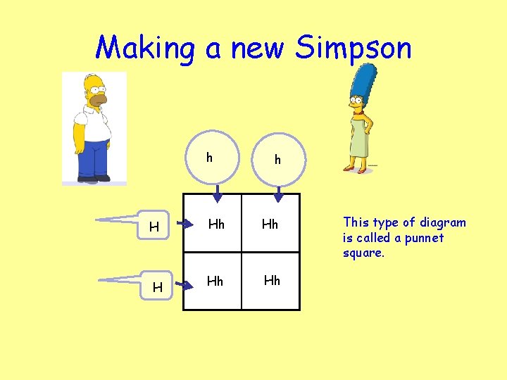 Making a new Simpson h h H Hh Hh This type of diagram is