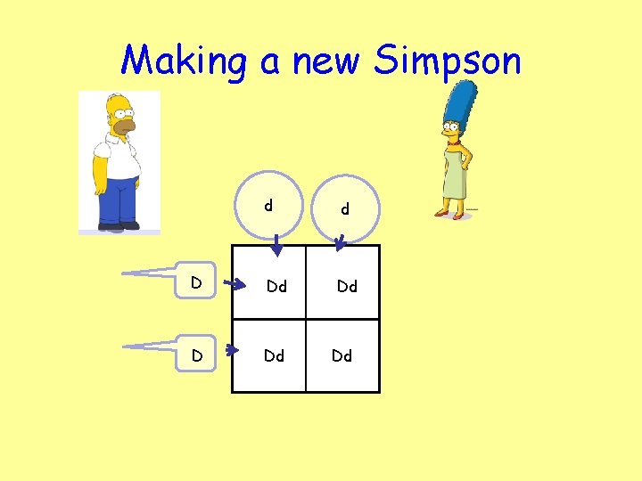 Making a new Simpson d d D Dd Dd 