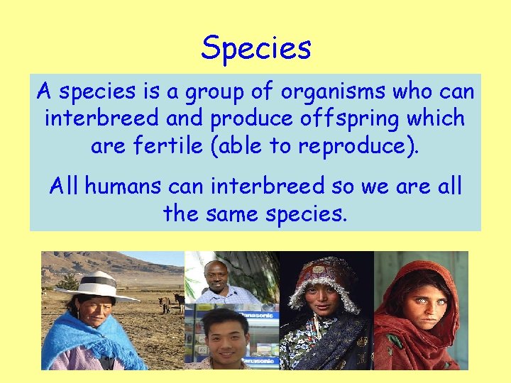 Species A species is a group of organisms who can interbreed and produce offspring