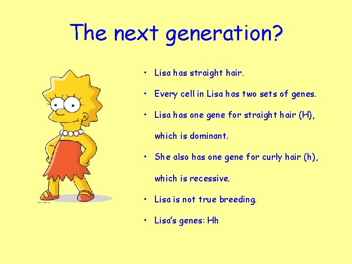 The next generation? • Lisa has straight hair. • Every cell in Lisa has