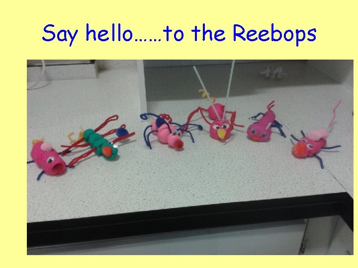 Say hello……to the Reebops 