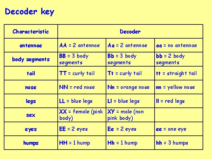 Decoder key Characteristic antennae Decoder AA = 2 antennae Aa = 2 antennae aa