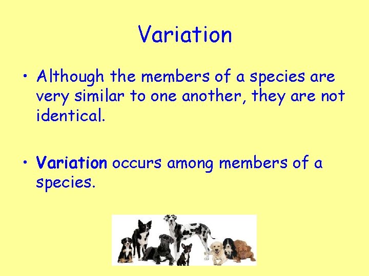 Variation • Although the members of a species are very similar to one another,