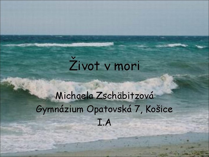 Život v mori Michaela Zschäbitzová Gymnázium Opatovská 7, Košice I. A 