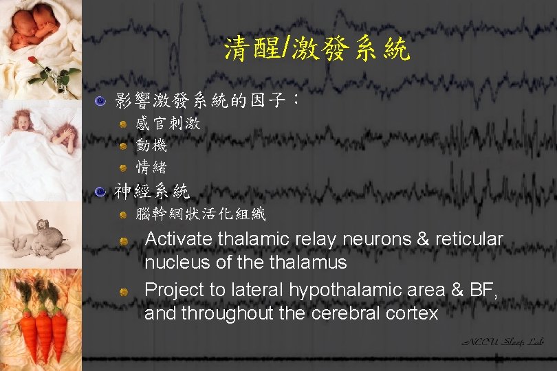 清醒/激發系統 影響激發系統的因子： 感官刺激 動機 情緒 神經系統 腦幹網狀活化組織 Activate thalamic relay neurons & reticular nucleus