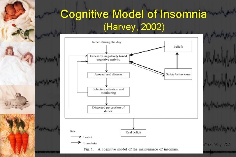 Cognitive Model of Insomnia (Harvey, 2002) 