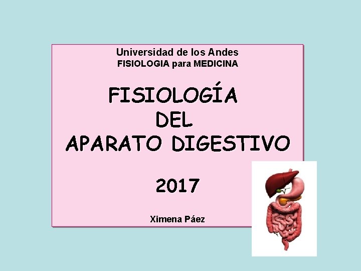 Universidad de los Andes FISIOLOGIA para MEDICINA FISIOLOGÍA DEL APARATO DIGESTIVO 2017 Ximena Páez