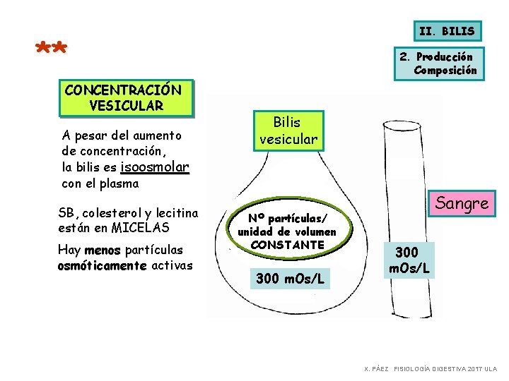 II. BILIS ** CONCENTRACIÓN VESICULAR A pesar del aumento de concentración, la bilis es
