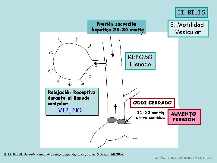 II. BILIS 3. Motilidad Vesicular Presión secreción hepática 25 -30 mm. Hg REPOSO Llenado
