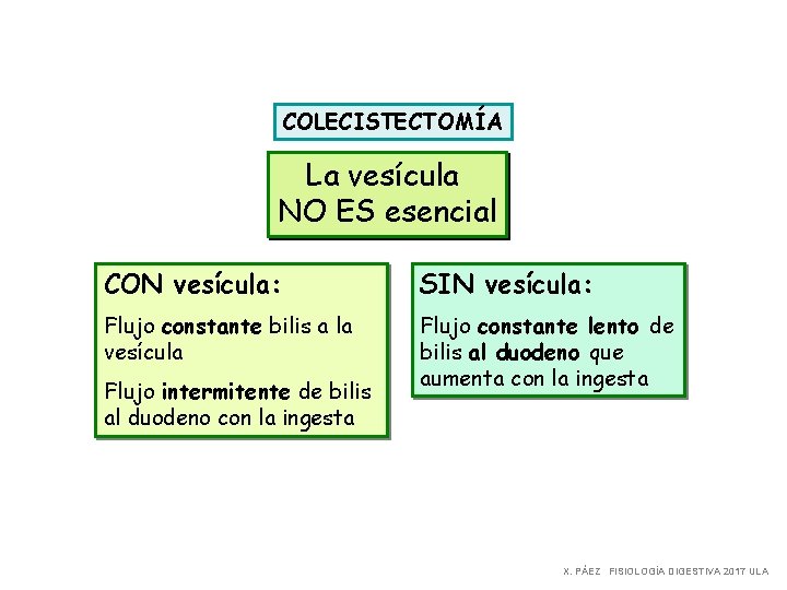 COLECISTECTOMÍA La vesícula NO ES esencial CON vesícula: SIN vesícula: Flujo constante bilis a