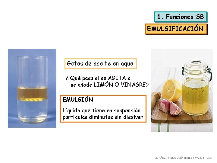 1. Funciones SB EMULSIFICACIÓN Gotas de aceite en agua ¿ Qué pasa si se