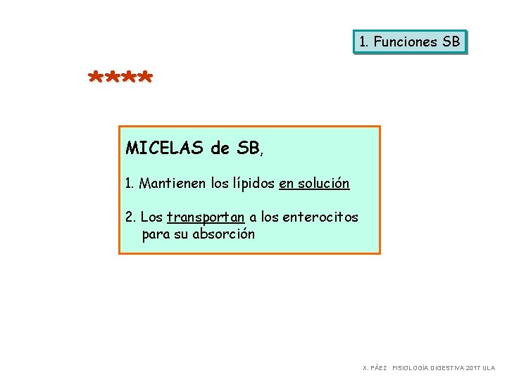 1. Funciones SB **** MICELAS de SB, 1. Mantienen los lípidos en solución 2.