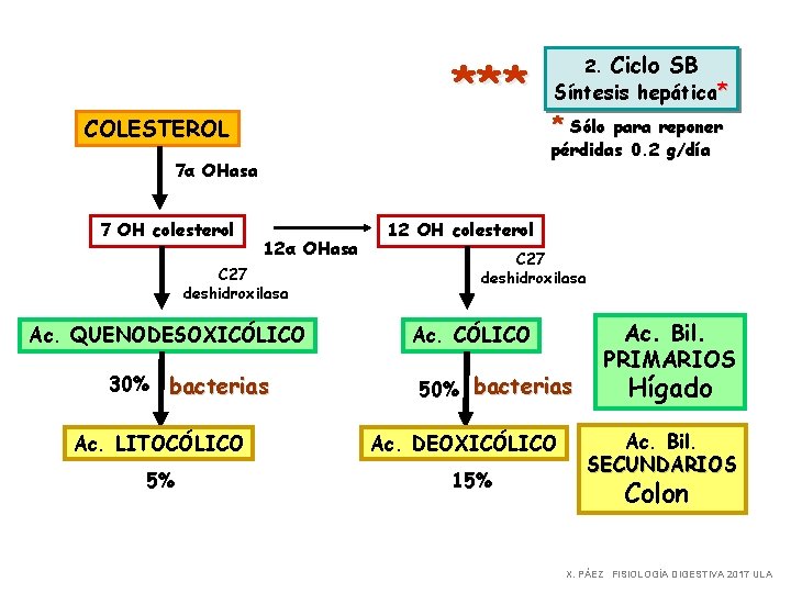*** COLESTEROL 7α OHasa 7 OH colesterol 12α OHasa C 27 deshidroxilasa Ac. QUENODESOXICÓLICO