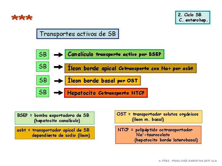 *** 2. Ciclo SB C. enterohep. Transportes activos de SB SB Canalículo transporte activo