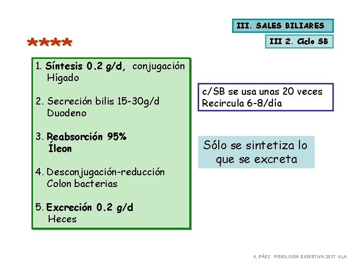 III. SALES BILIARES **** 1. Síntesis 0. 2 g/d, conjugación Hígado 2. Secreción bilis