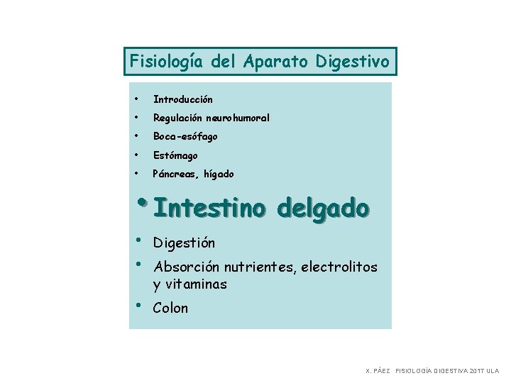 Fisiología del Aparato Digestivo • Introducción • Regulación neurohumoral • Boca-esófago • Estómago •
