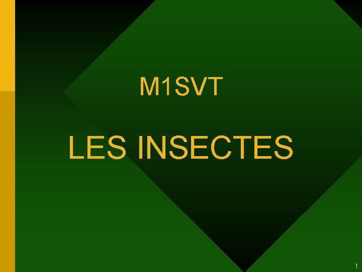 M 1 SVT LES INSECTES 1 M 1 SVT LES INSECTES 1