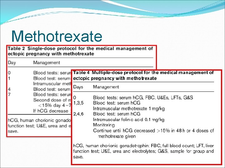 Methotrexate Methotrexate