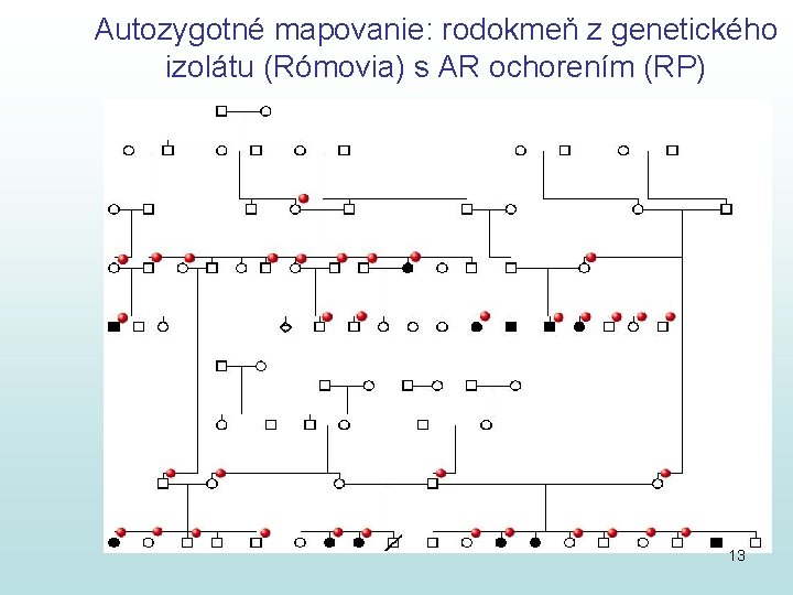 Autozygotné mapovanie: rodokmeň z genetického izolátu (Rómovia) s AR ochorením (RP) 13 