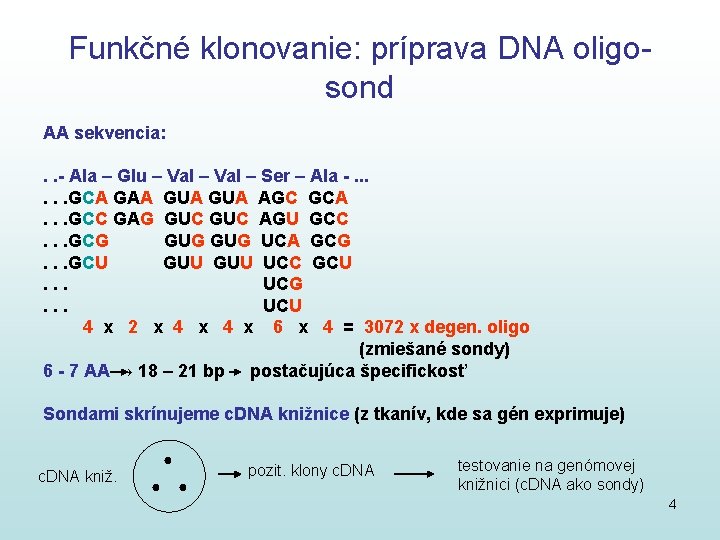 Funkčné klonovanie: príprava DNA oligosond AA sekvencia: . . - Ala – Glu –