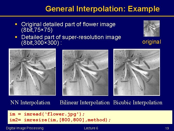 General Interpolation: Example § Original detailed part of flower image (8 bit, 75× 75)