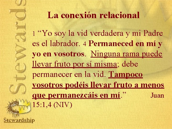 La conexión relacional “Yo soy la vid verdadera y mi Padre es el labrador.