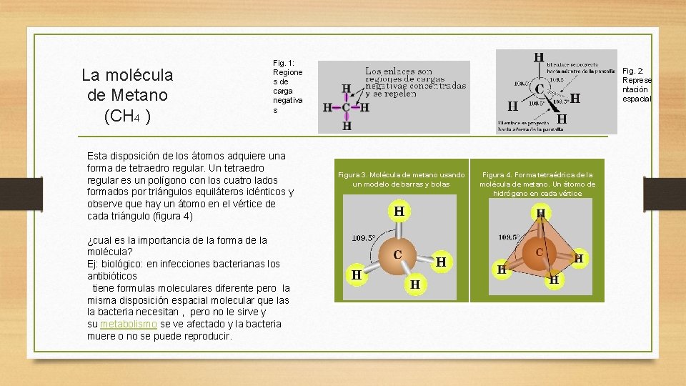 La molécula de Metano (CH 4 ) Fig. 1: Regione s de carga negativa