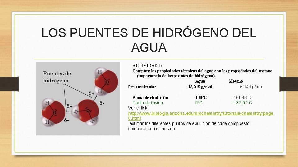 LOS PUENTES DE HIDRÓGENO DEL AGUA ACTIVIDAD 1: Compare las propiedades térmicas del agua